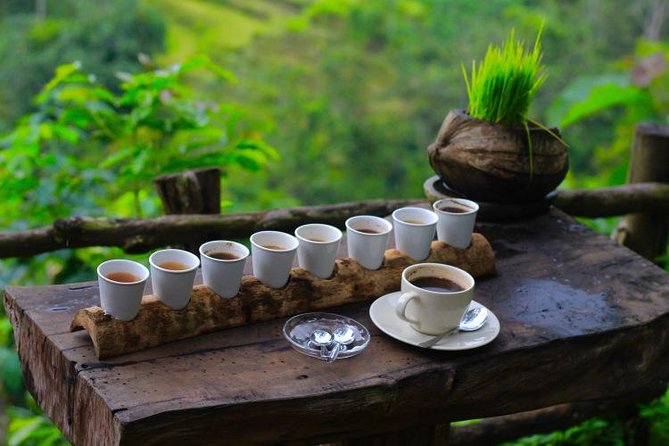 Money Changer Kuta Coffee Plantation Ubud PAM Money Changer