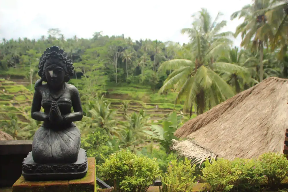 Money Changer Kuta Smart Traveller Bali Nature PAM Money Changer
