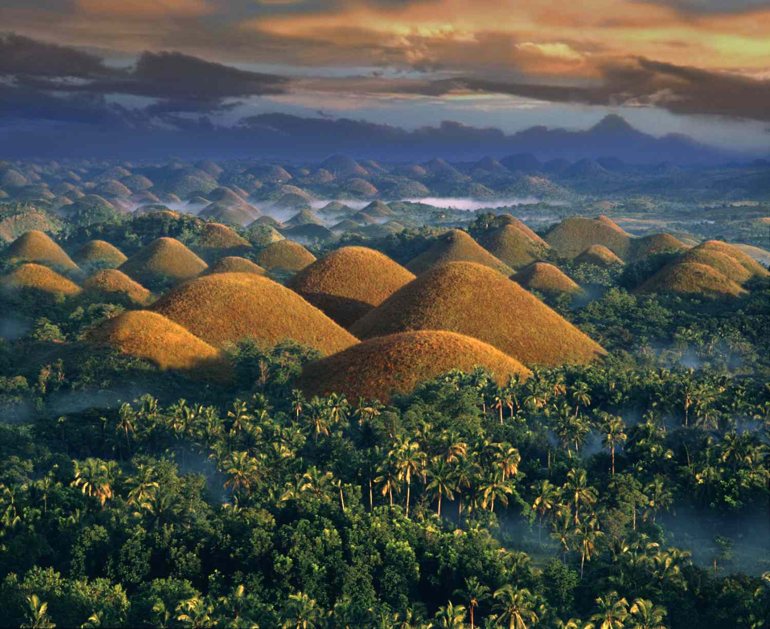 Places to Visit in Philippines Bohol Money Changer Kuta Money Exchange Kuta PAM Money Changer Money Changer Bali