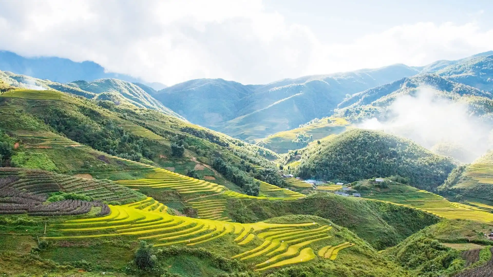 Places to Visit in Vietnam Sa Pa Rice Terraces Money Changer Kuta Money Exchange Kuta PAM Money Changer