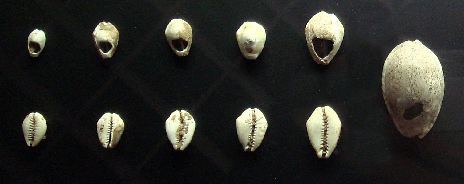 Animal Money History, one of them are cowrie snail shells from China. This insight is from Money Changer Kuta, Bali and also Money Exchange Kuta PAM Money Changer